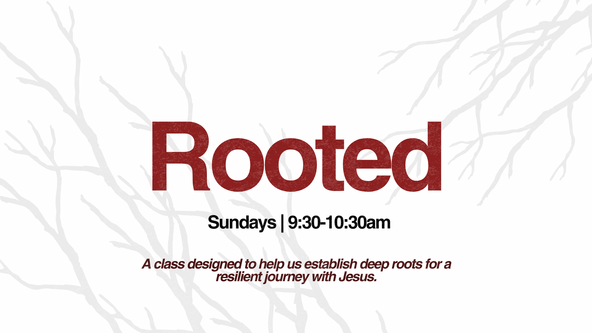 Featured image for Rooted Class
